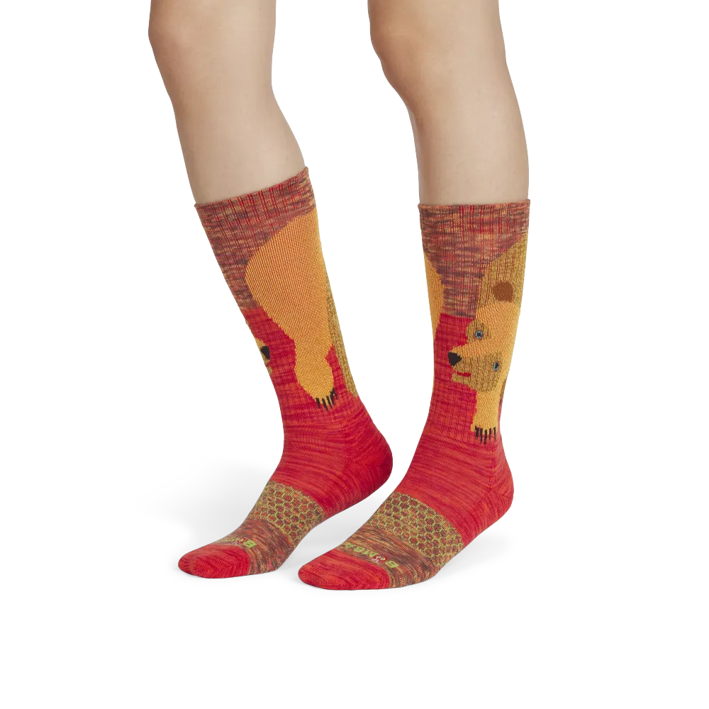 Adult Eric Carle Calf Sock 4-Pack & Book