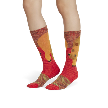 Adult Eric Carle Calf Sock 4-Pack & Book