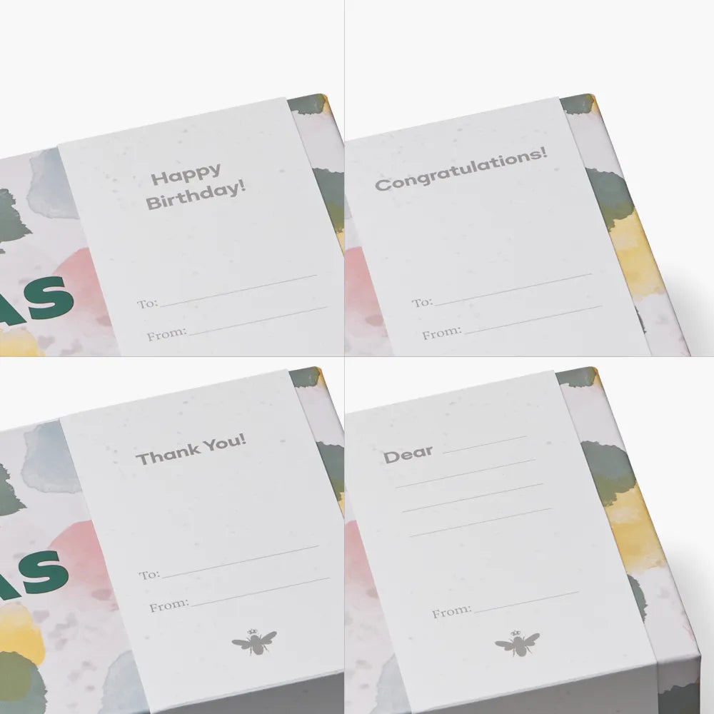 Women's Celebration Ankle Sock 4-Pack Gift Box