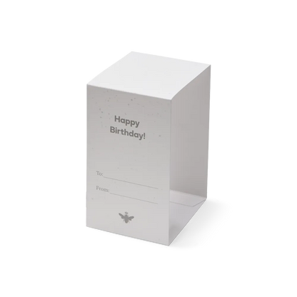 Women's Celebration Ankle Sock 4-Pack Gift Box